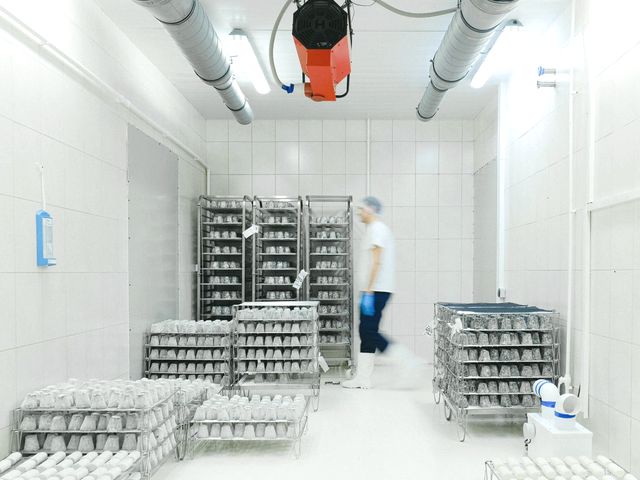 Camara fria com carga paletizada aguardando coleta refrigerada